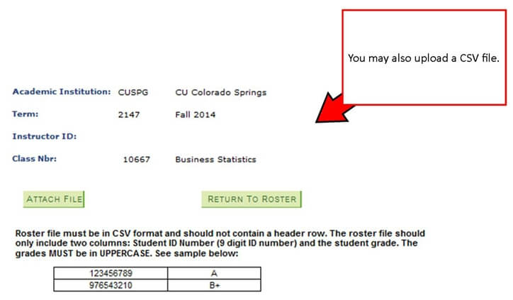 You may also upload a CSV file.